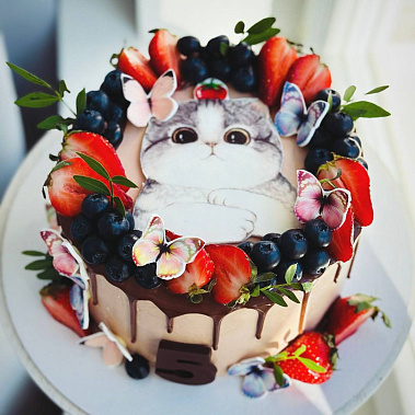 Торт "Котенок" купить - подольск.сладкоежкин.рф